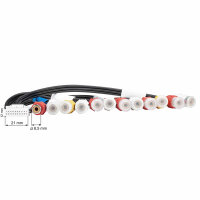 Originalradio Anschlußkabel 20 Pin Vorverstärker AUX kompatibel mit Alpine IVA-D106