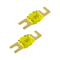 Mini ANL Sicherung 100A 2 Stück mit vergoldeten Kontakten